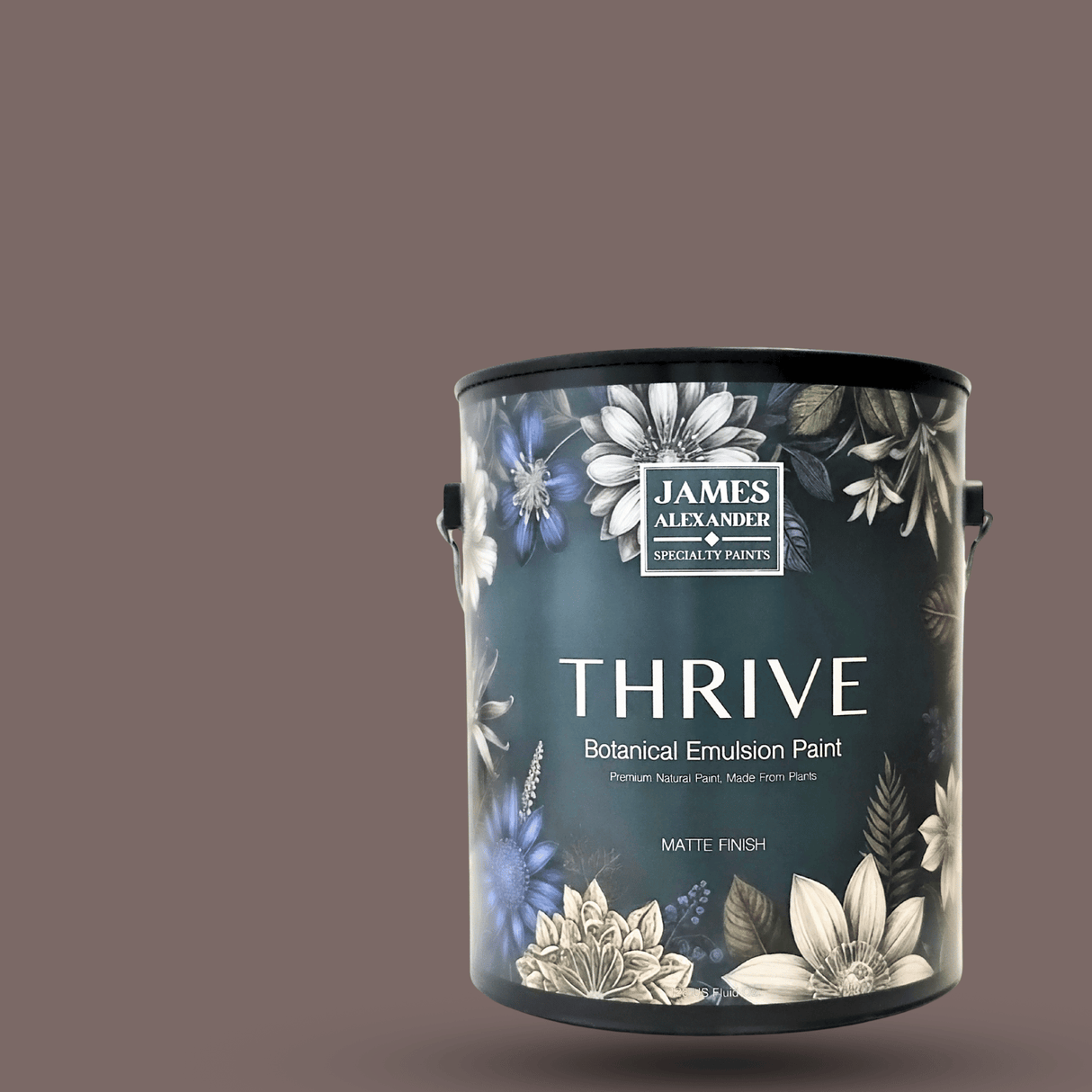 Quiet Study - Thrive Natural Interior Paint