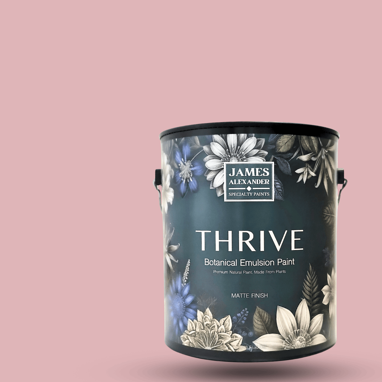 Bermuda - Thrive Natural Interior Paint
