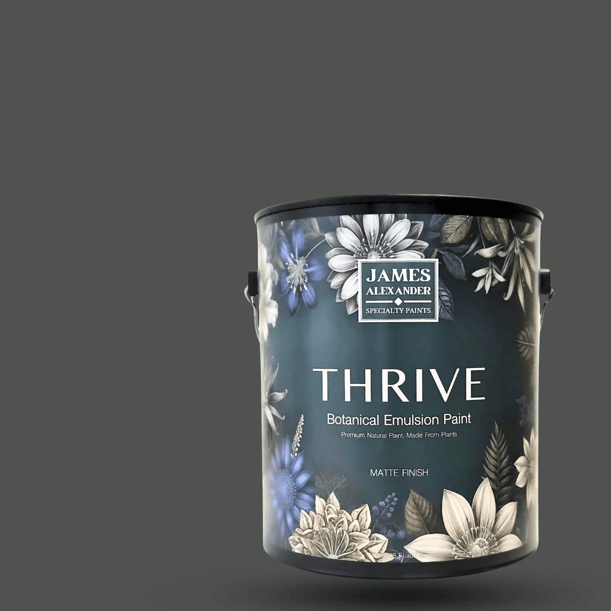 Basalt Stone - Thrive Natural Interior Paint