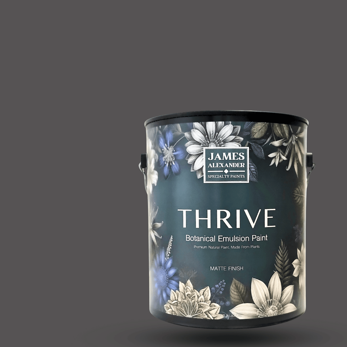 Shadowed Flint - Thrive Natural Interior Paint