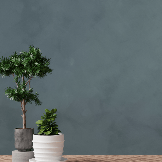 Viridiano - Emerald Green Limewash Wall Paint