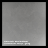 Argento - Venetian Plaster