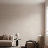 Argilla Francese - Beige Limewash Wall Paint