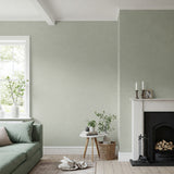 Celadon - Soft Green Limewash Wall Paint