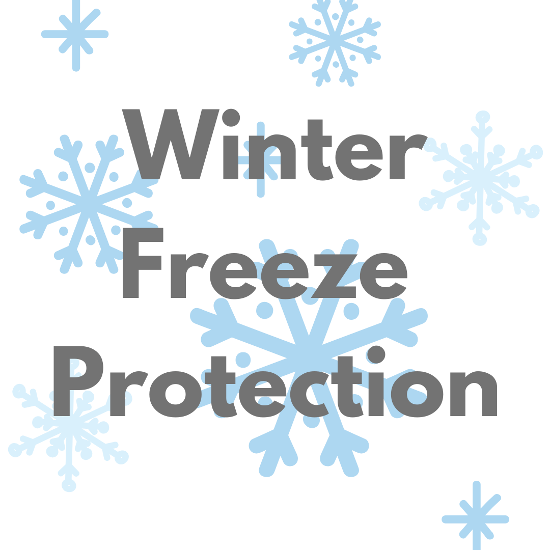 Shipping: Freeze Protection