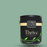 Glacial Green - Thrive Natural Interior Paint