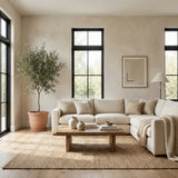 Alabaster Suede - Modern Lime Paint