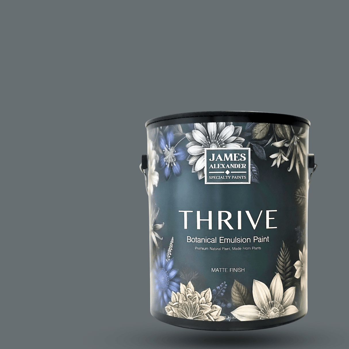 Meteorite - Thrive Natural Interior Paint