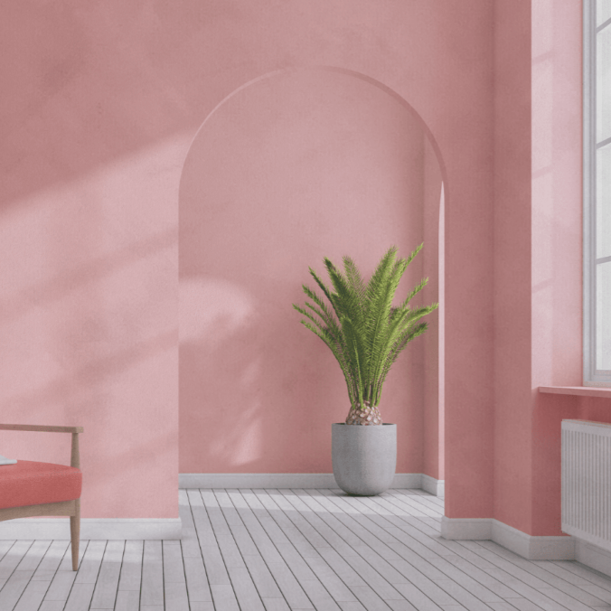 Pink Limewash Room Orchidea color