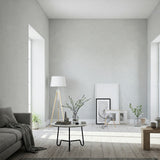 Peltro Light Gray Limewash Paint