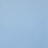 Pettirosso - Blue Limewash Wall Paint