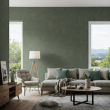 Green Limewash Living Room