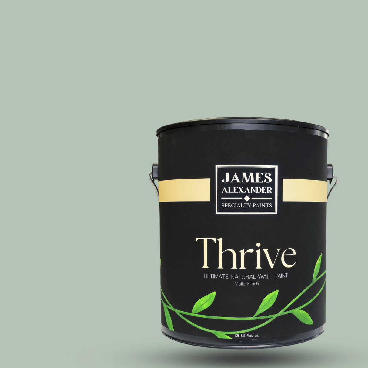 Quiet Thyme - Thrive Natural Interior Paint