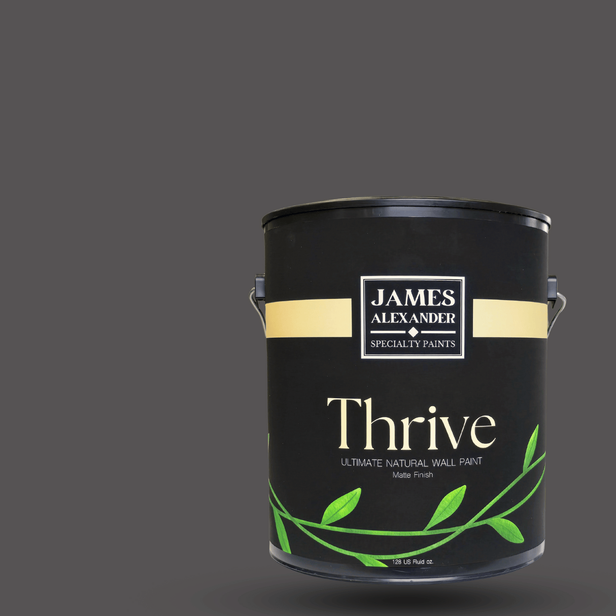 Shadowed Flint - Thrive Natural Interior Paint