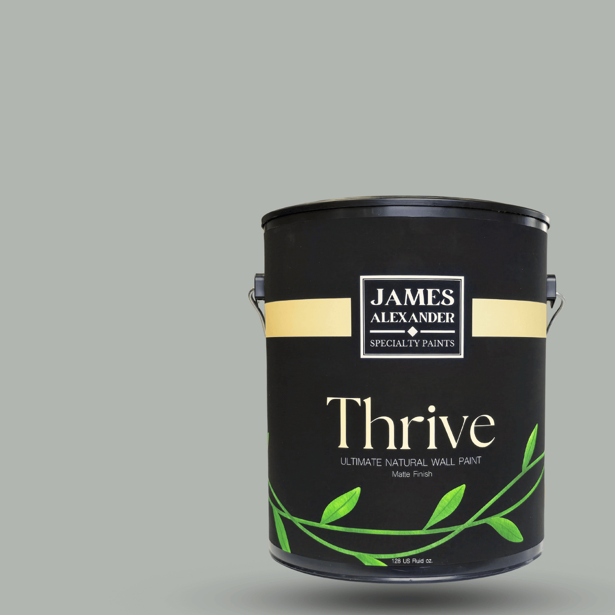 Shale Ledge - Thrive Natural Interior Paint