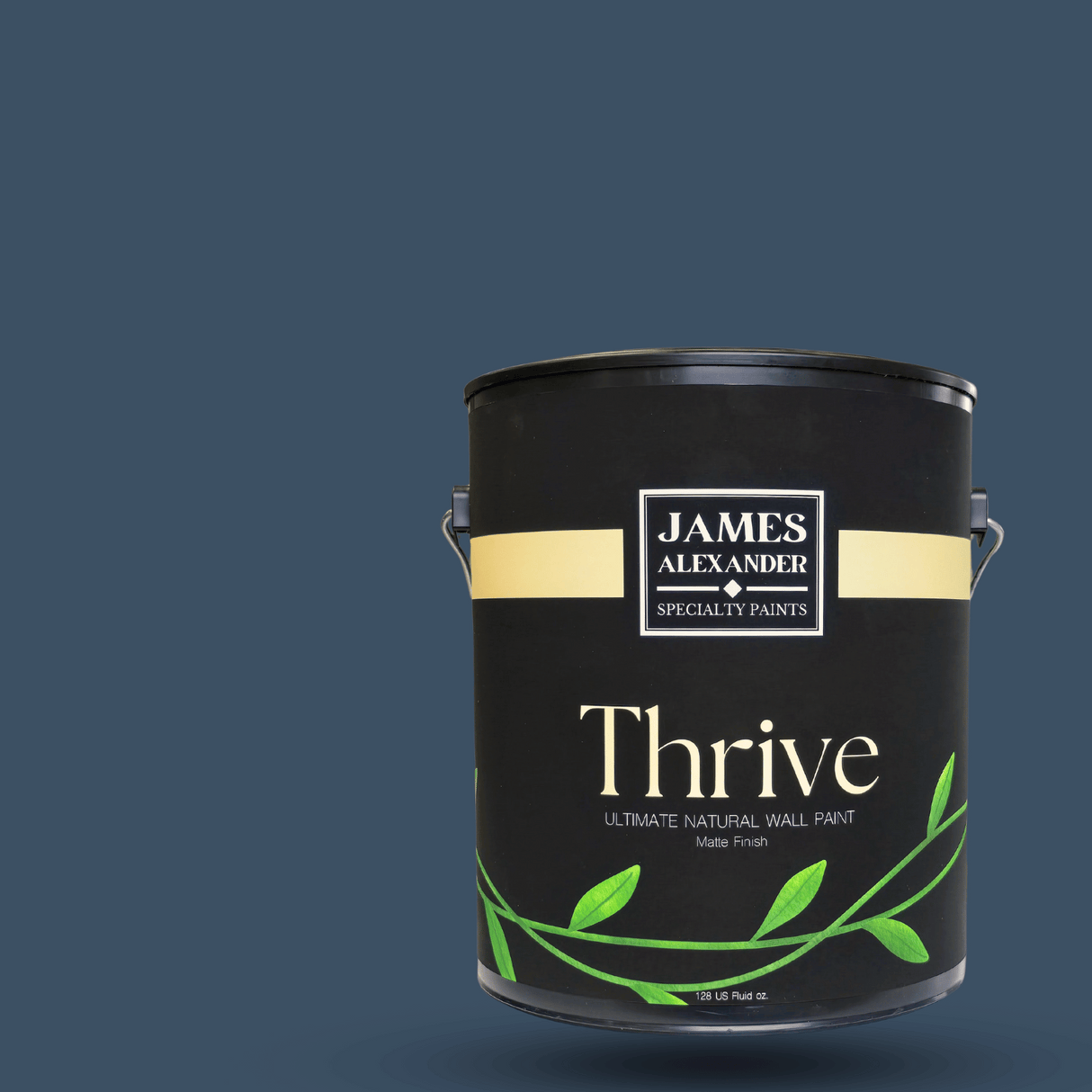 Storm Cloud Slate - Thrive Natural Interior Paint