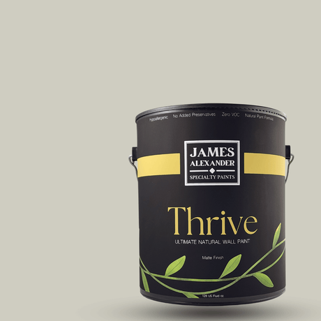 Lamb's Ear - Thrive Natural Interior Paint - Thrive - Ultimate Natural Interior Paints