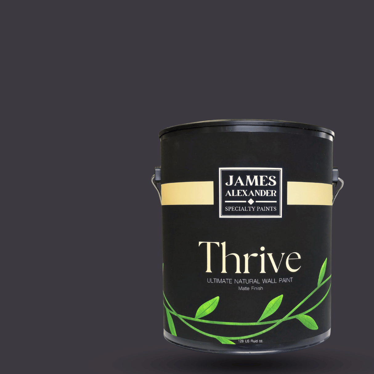 Plum Noir - Thrive Natural Interior Paint - Shop Interior Paints Online - Thrive is Natural Color for Walls